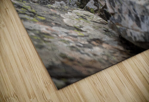 American Pika Randy Tremblay Photography puzzle
