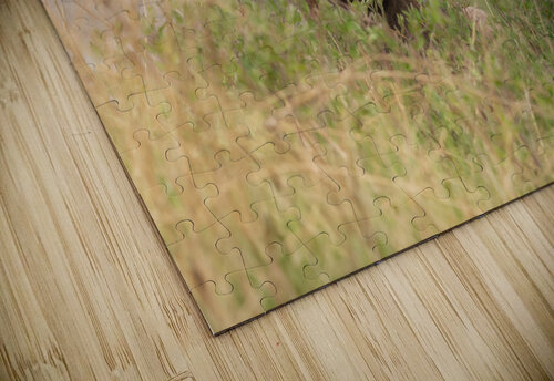 Bighorn Ram Randy Tremblay Photography puzzle