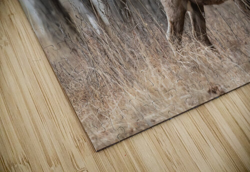 Bighorn Ram Randy Tremblay Photography puzzle