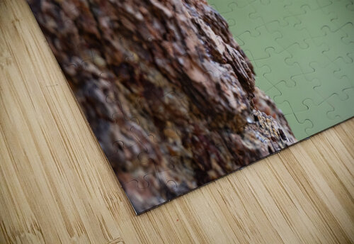 Northern Pygmy Owl Randy Tremblay Photography puzzle