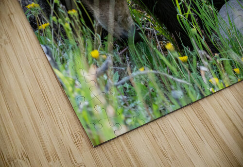Grizzly Cub Randy Tremblay Photography puzzle