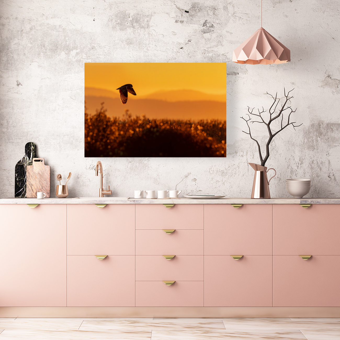 Short-eared Owl Reproduction