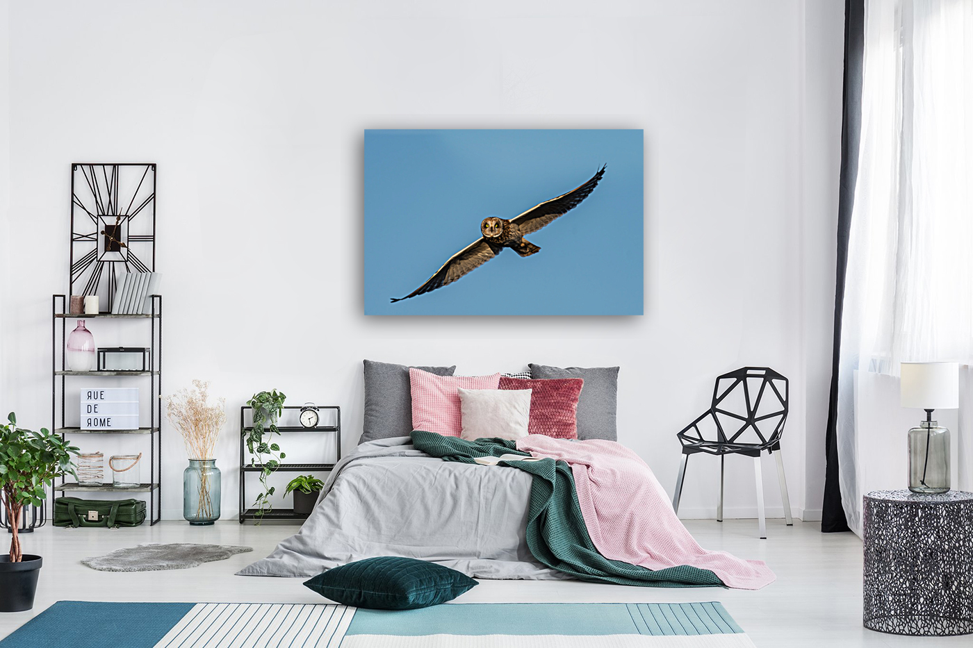 Short-eared Owl Reproduction