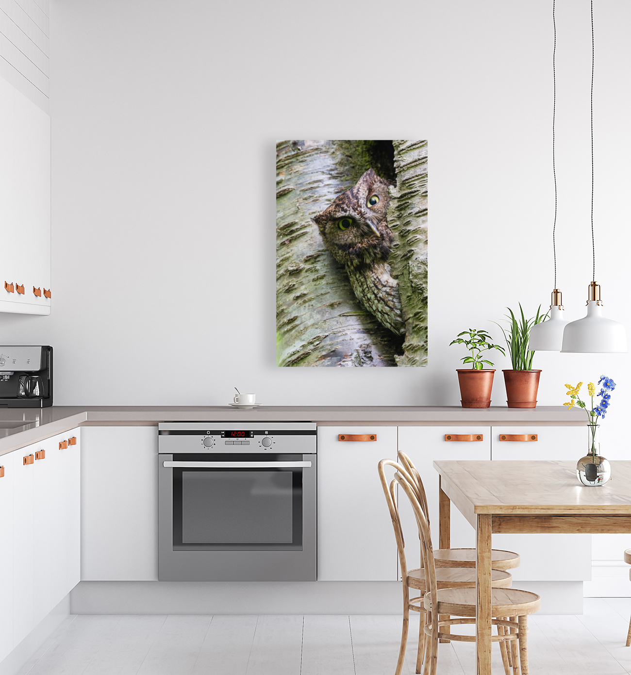 Western Screech Owl Reproduction