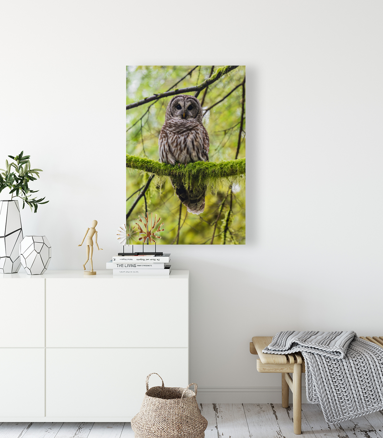 Barred Owl Reproduction