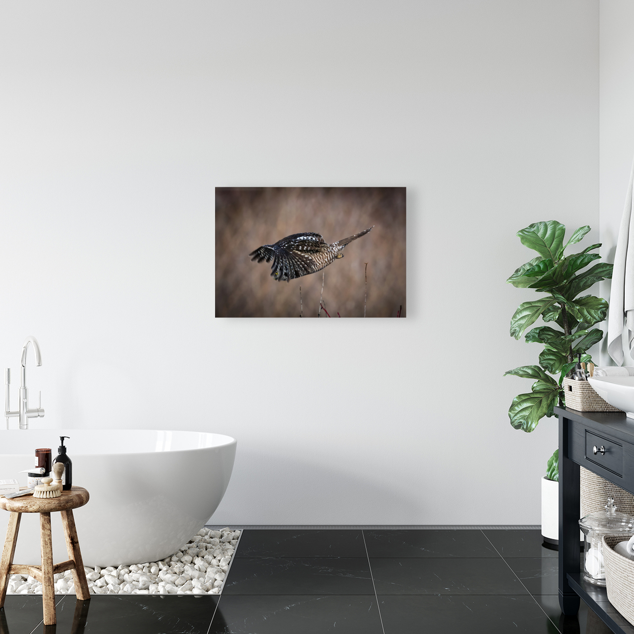 Northern Hawk Owl Reproduction