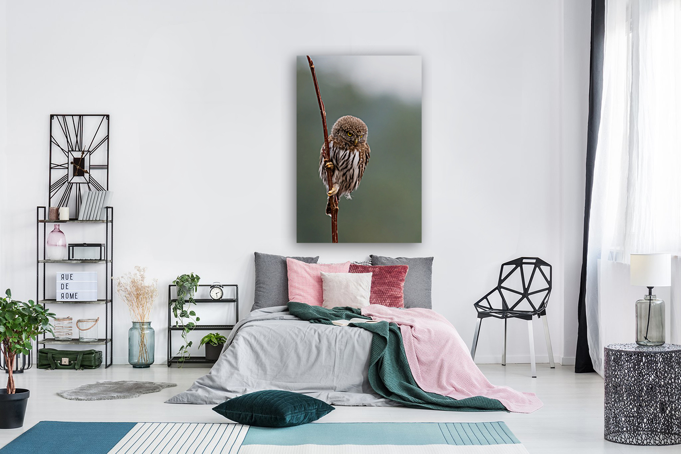 Northern Pygmy Owl Reproduction