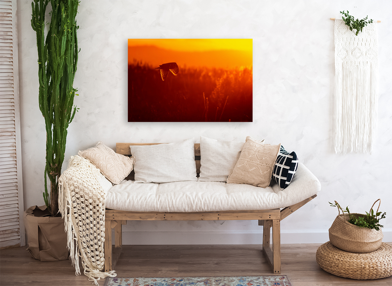 Short-eared Owl Reproduction