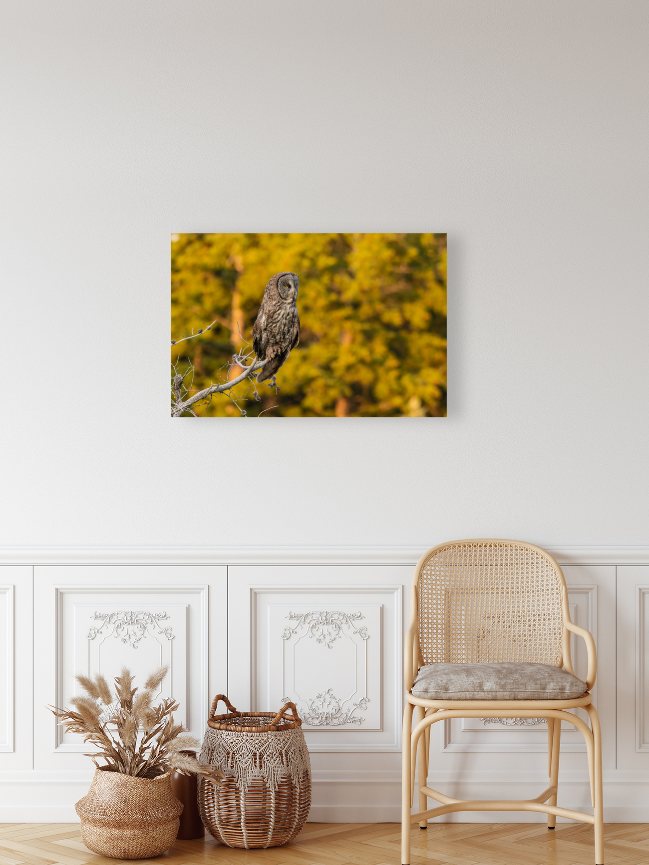 Great Gray Owl Reproduction