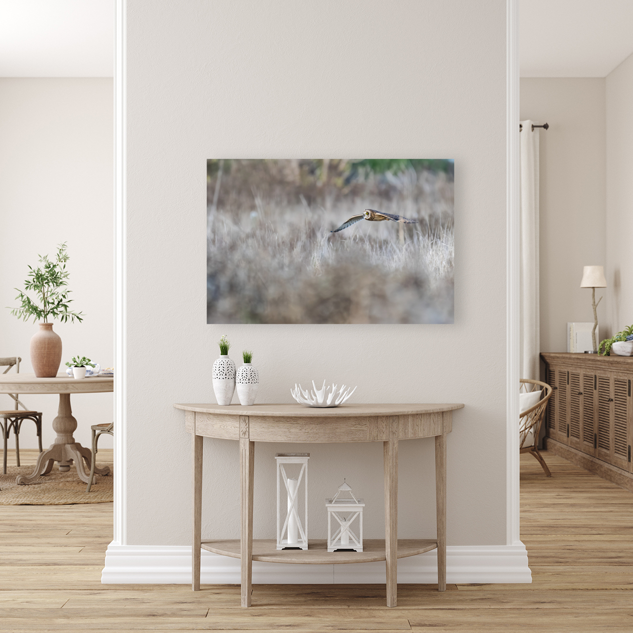 Short-eared Owl Reproduction