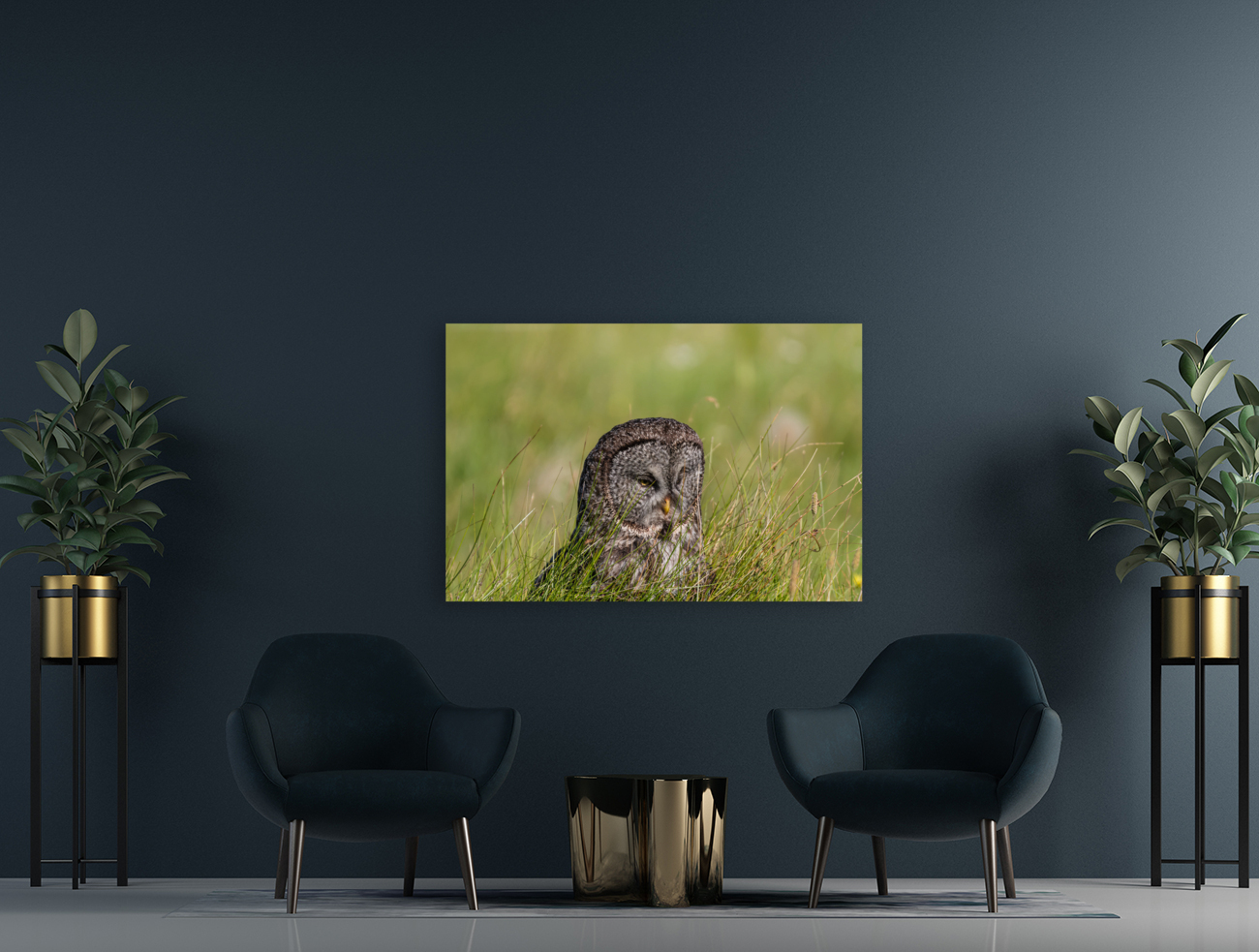 Great Gray Owl Reproduction