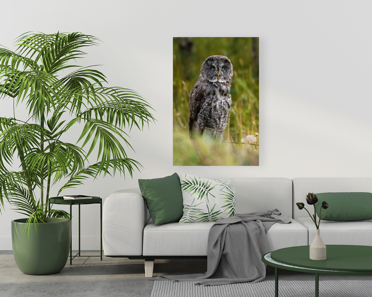 Great Gray Owl Reproduction