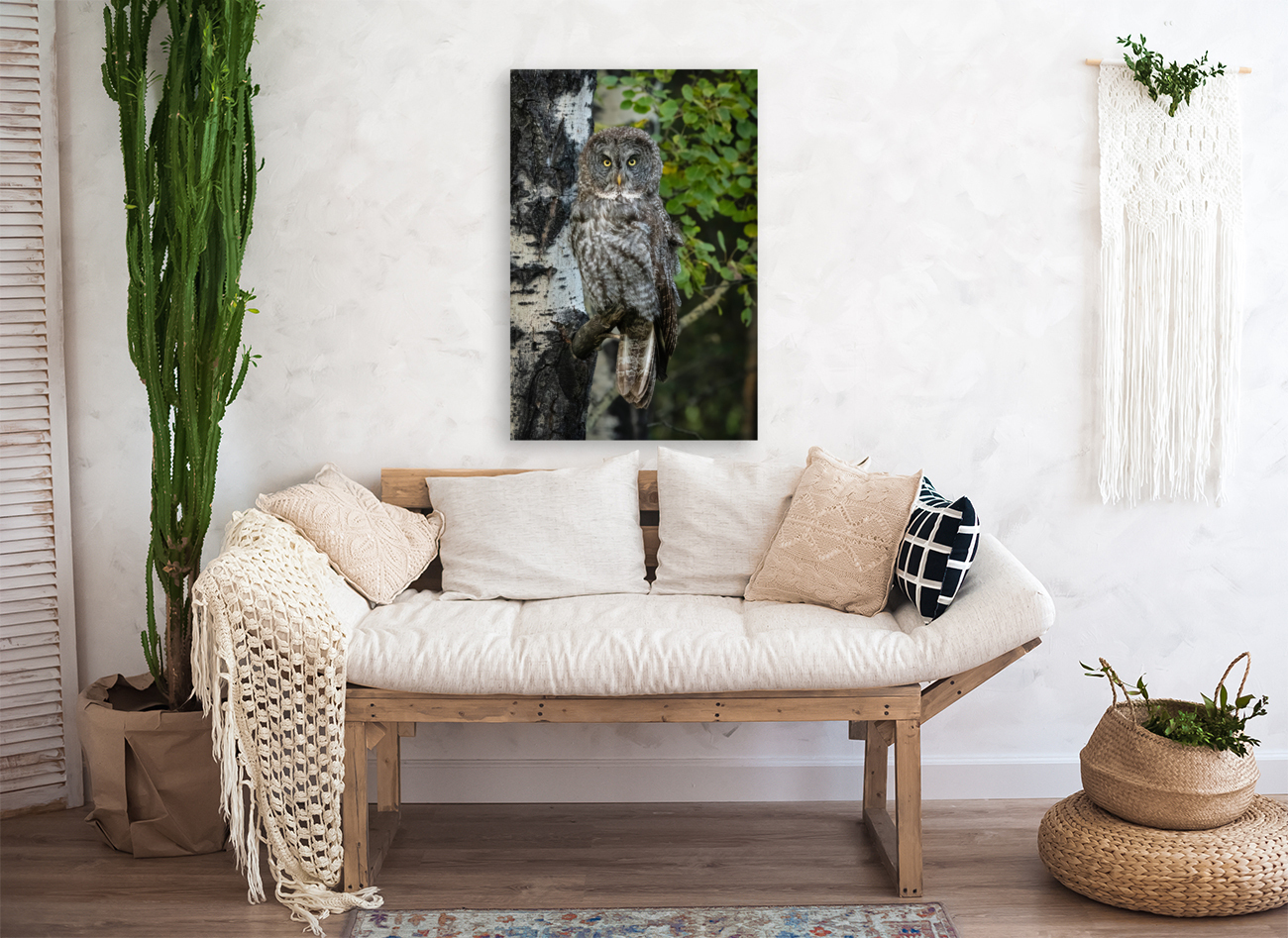 Great Gray Owl Reproduction