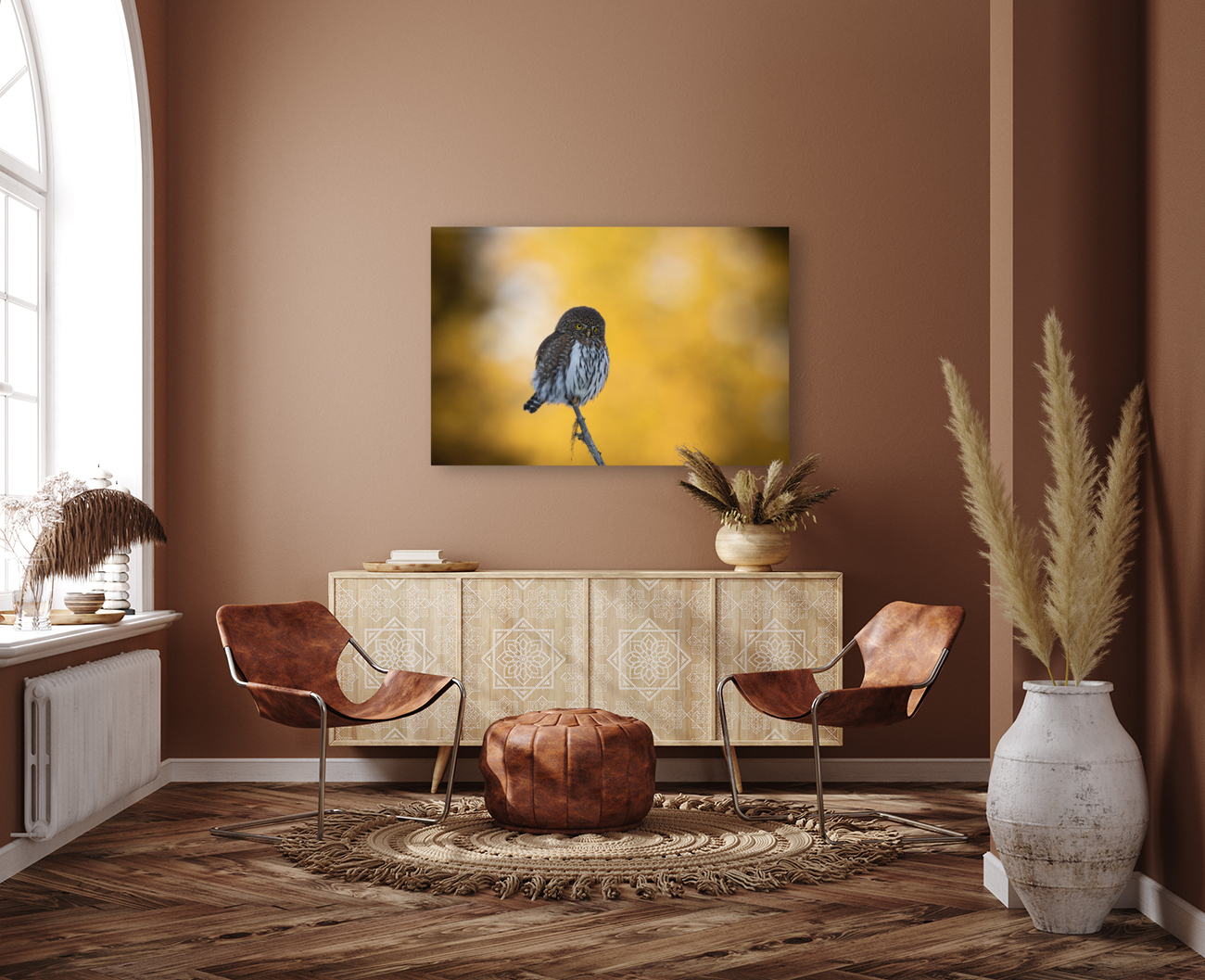 Northern Pygmy Owl Reproduction