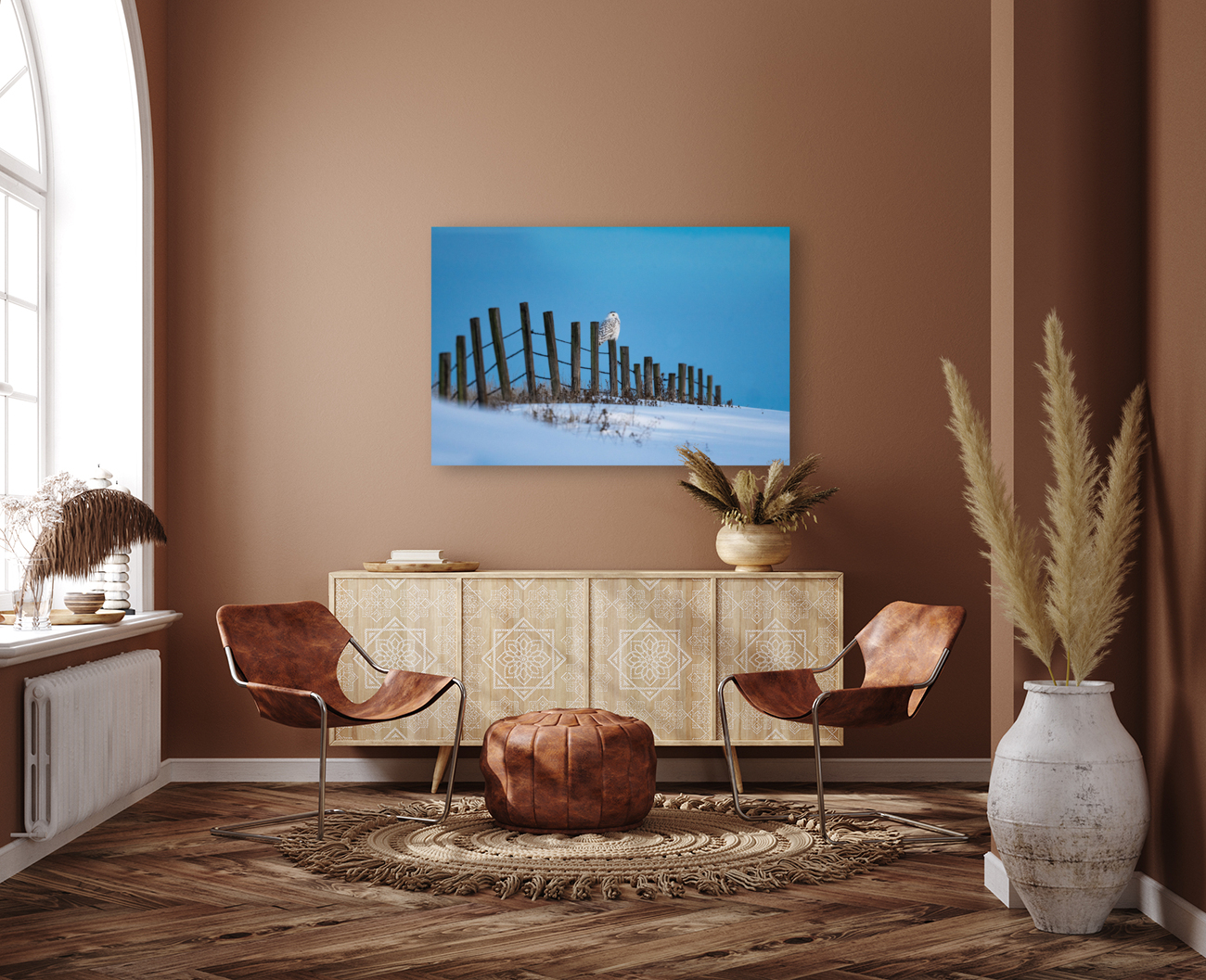 Snowy Owl Reproduction