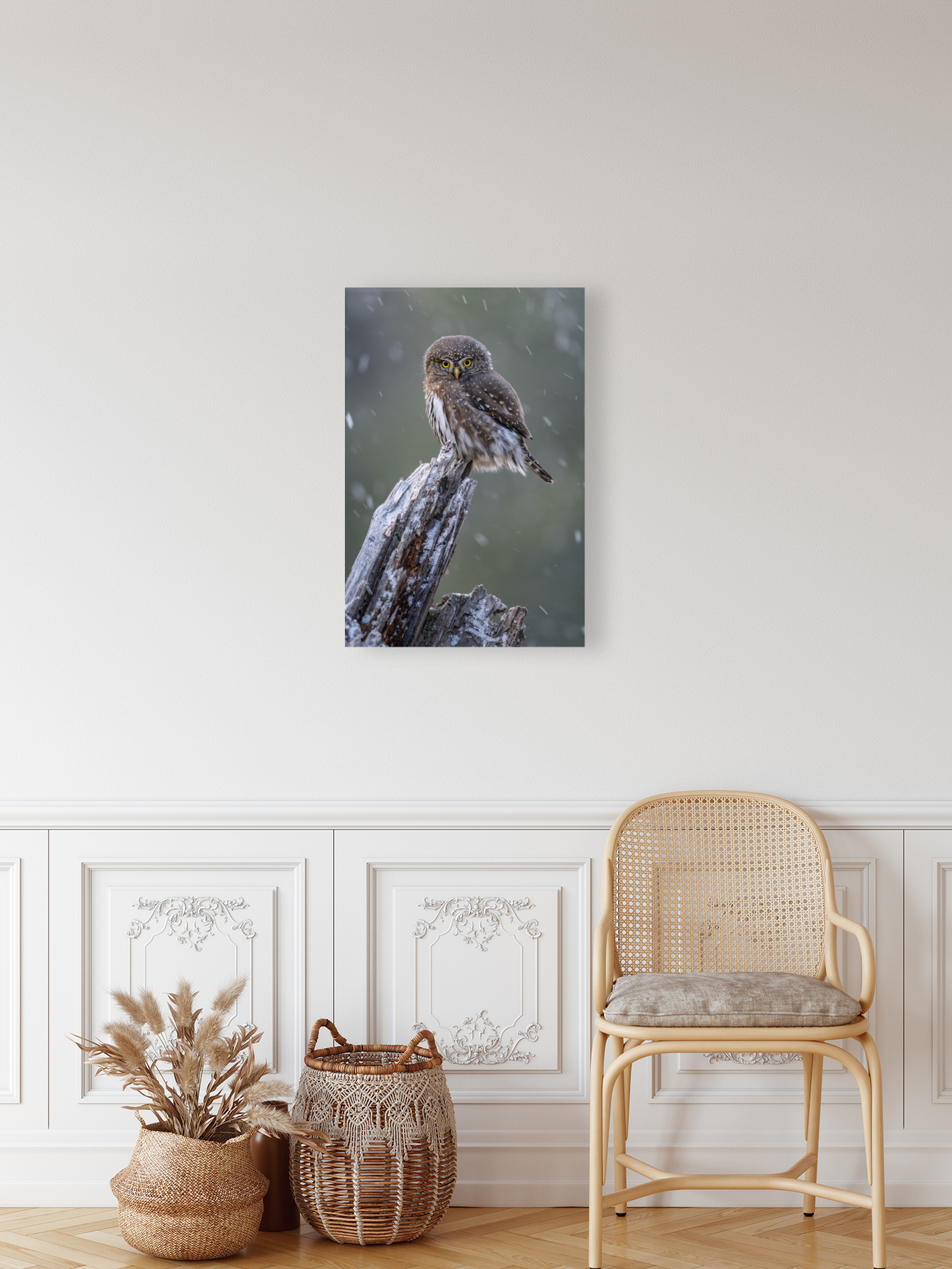 Northern Pygmy Owl Reproduction
