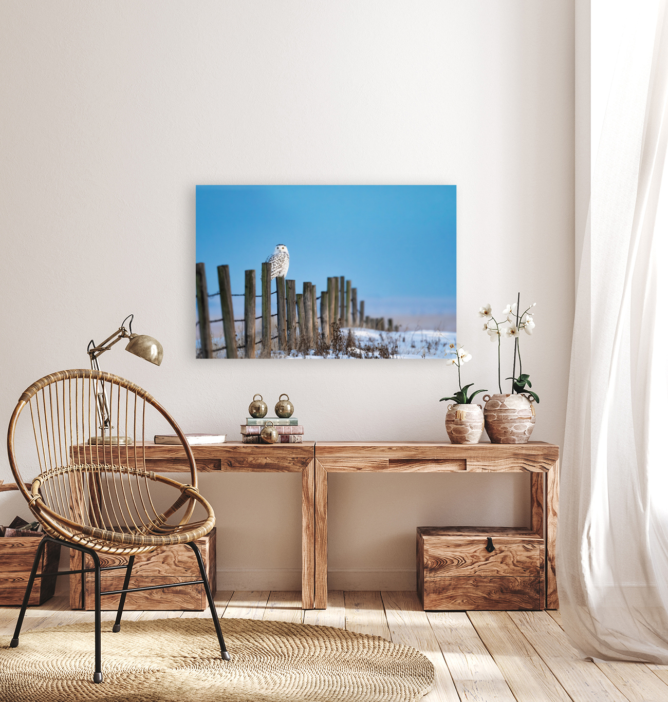 Snowy Owl Reproduction