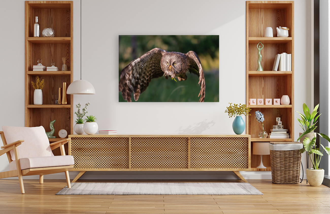 Great Gray Owl Reproduction