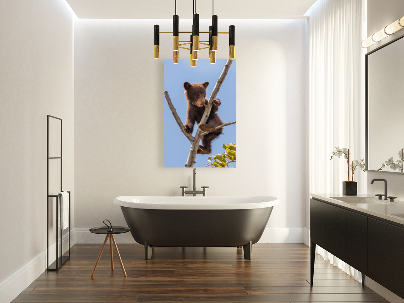 Black Bear Cub Reproduction