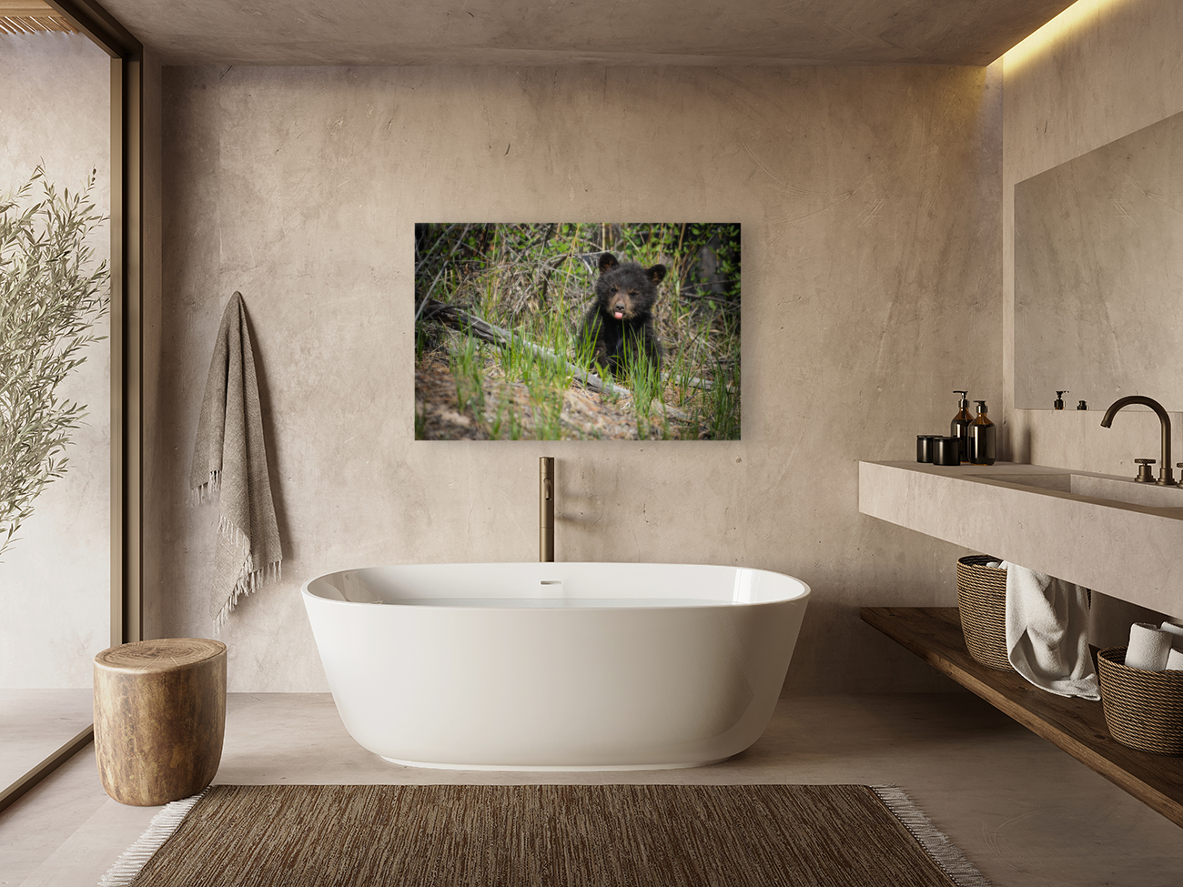 Black Bear Cub Reproduction