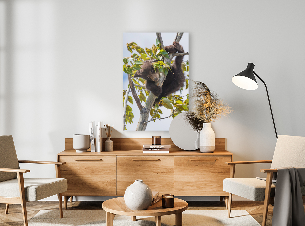 Black Bear Cub Reproduction