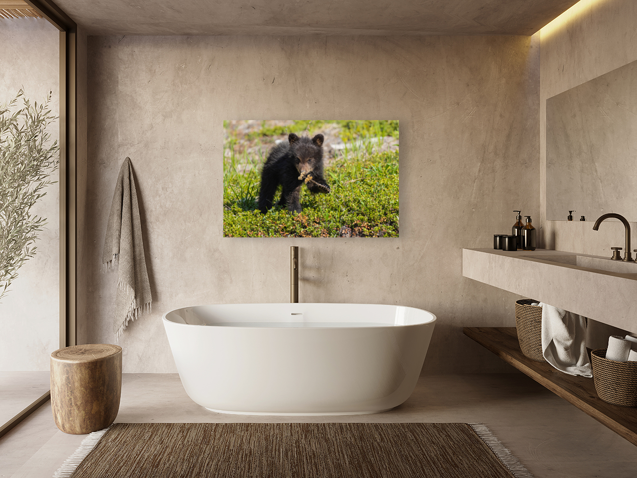 Black Bear Cub Reproduction