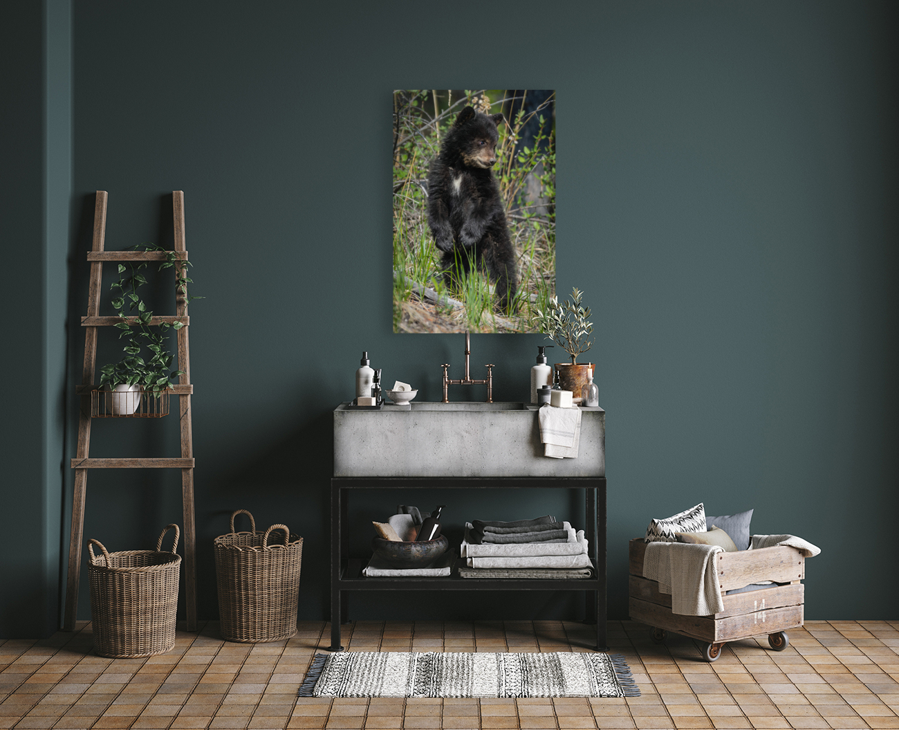 Black Bear Cub Reproduction