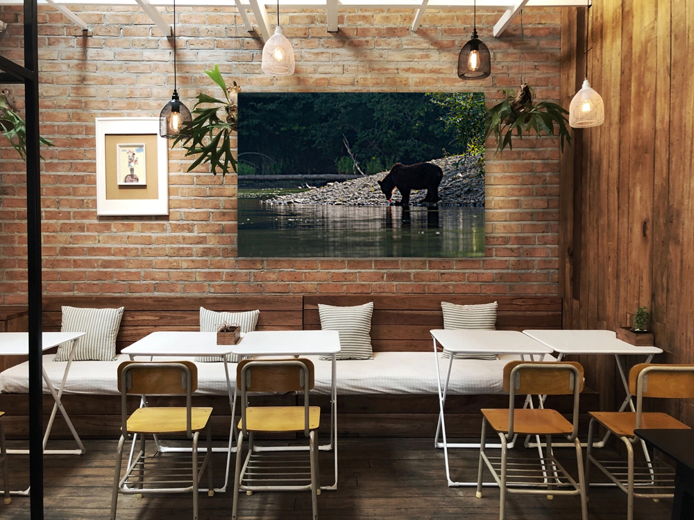 Grizzly Sow Reproduction