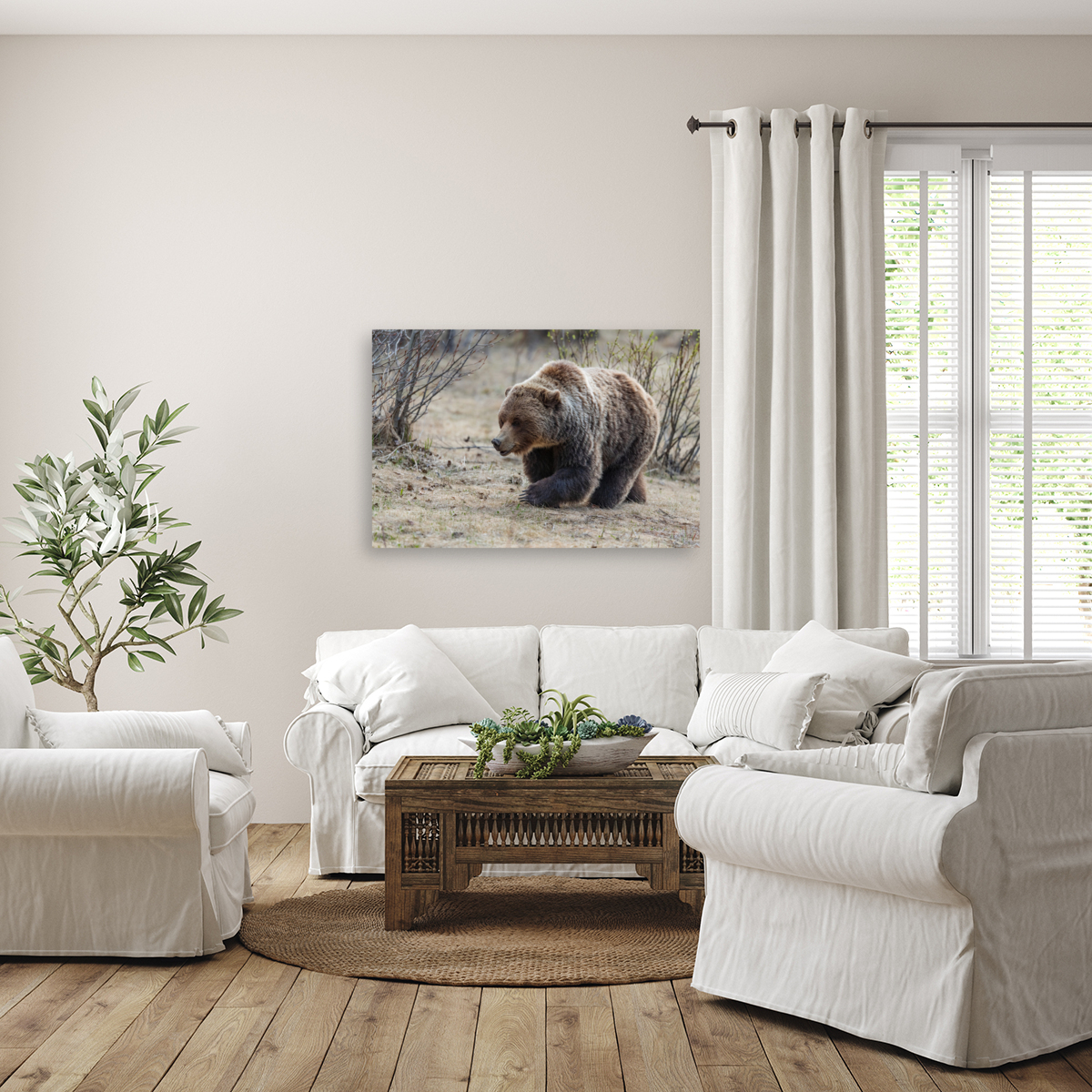 Grizzly Boar Reproduction