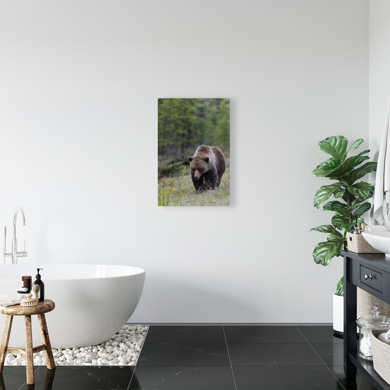 Grizzly Boar Reproduction