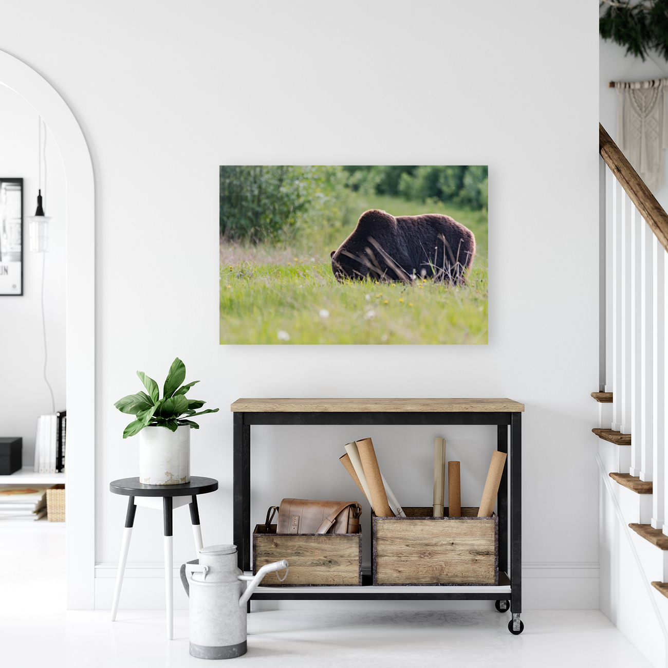 Grizzly Boar Reproduction