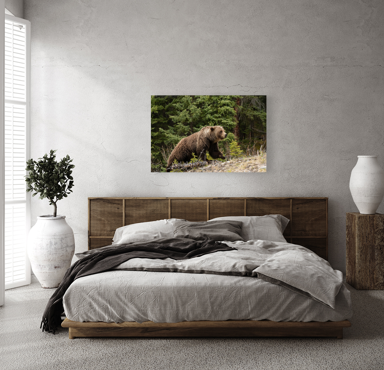 Grizzly Boar Reproduction