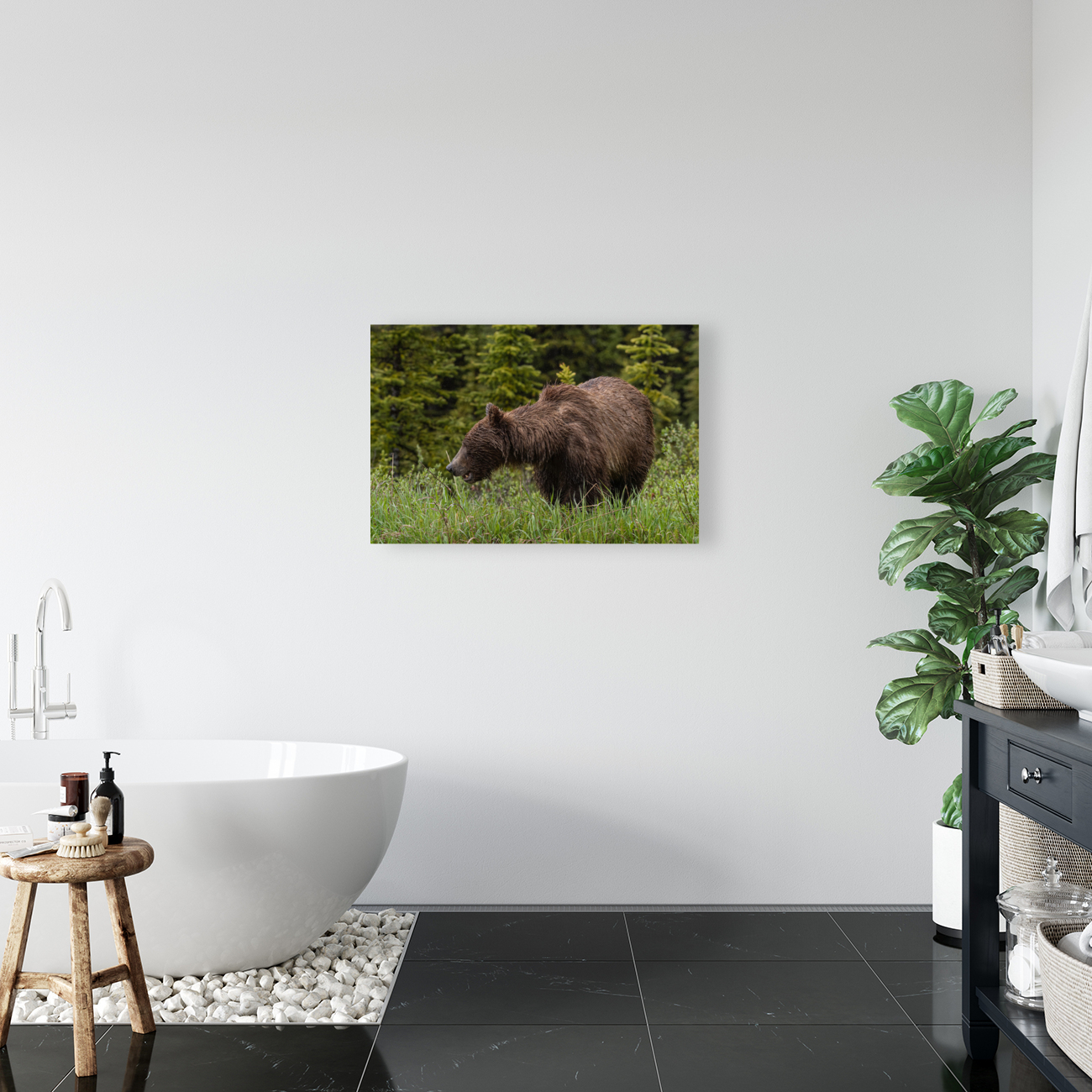 Grizzly Sow Reproduction