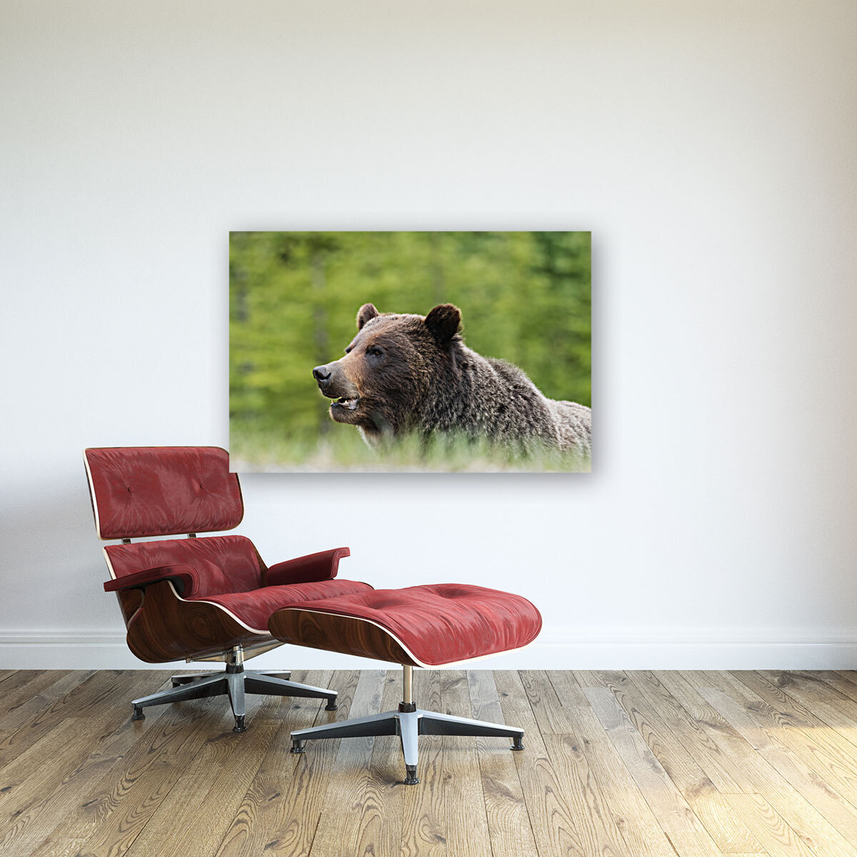 Grizzly Boar Reproduction