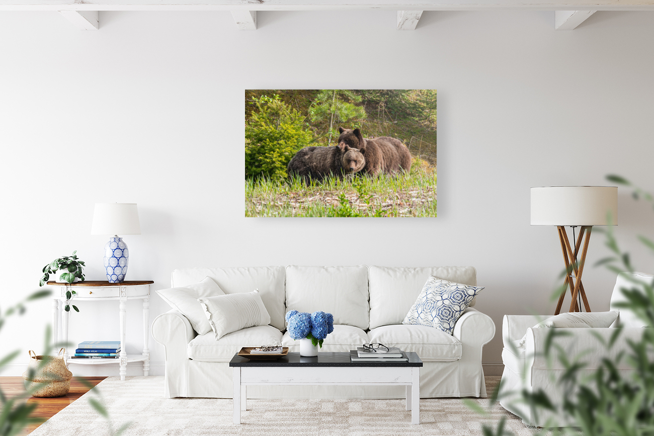 Grizzly Sow with Cub Reproduction