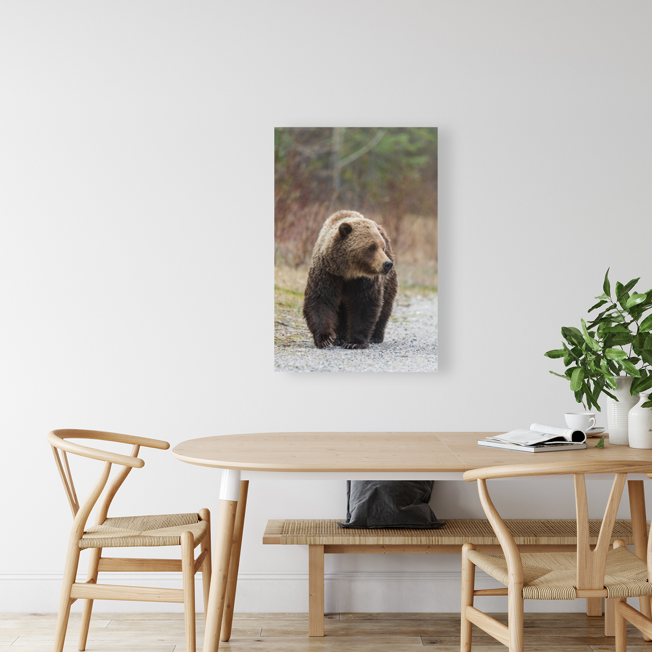 Grizzly Boar Reproduction