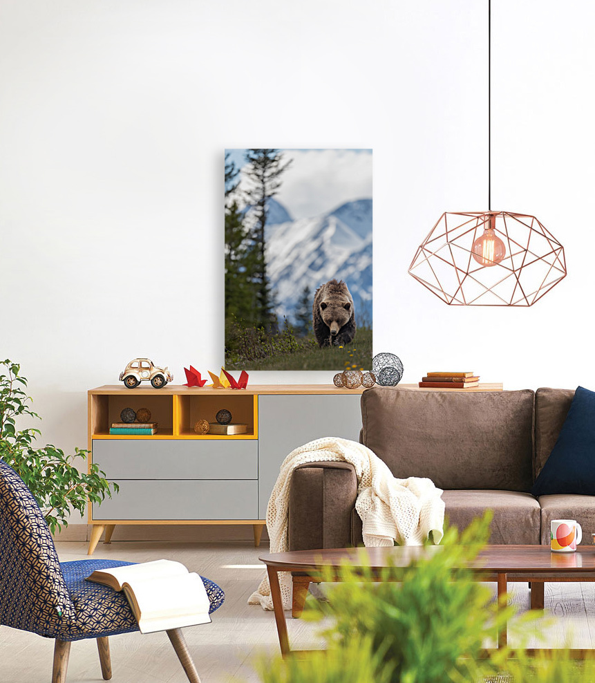 Grizzly Boar Reproduction