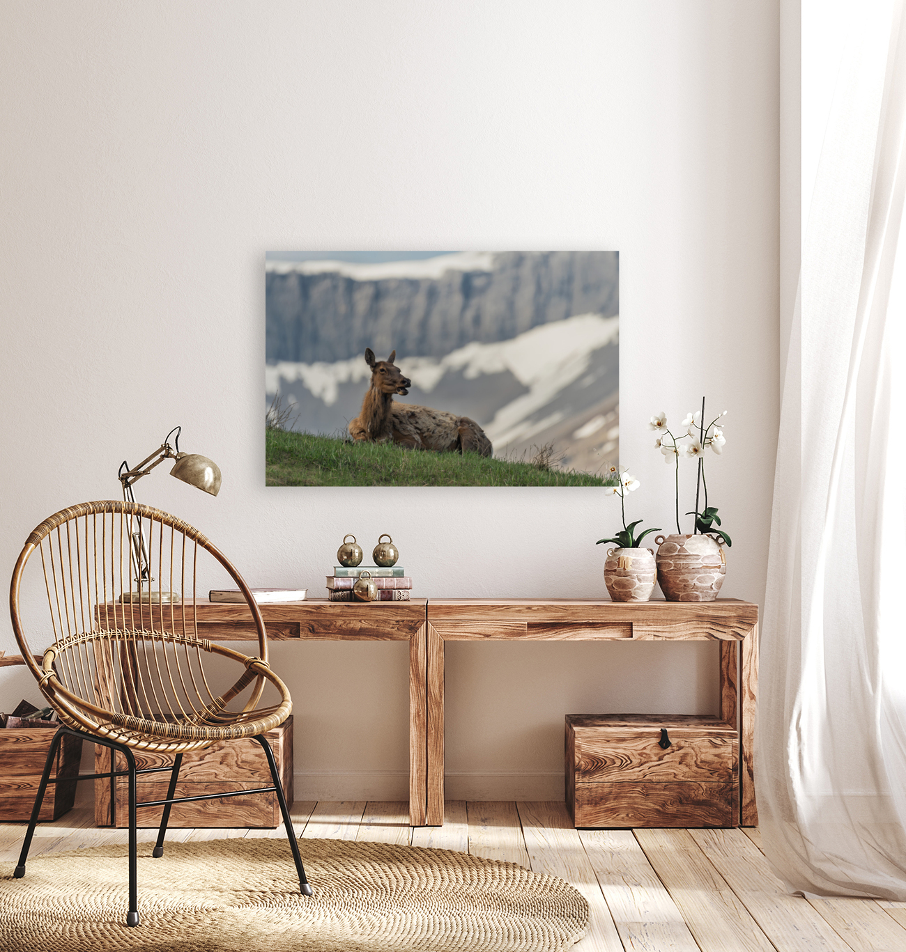 Cow Elk Reproduction