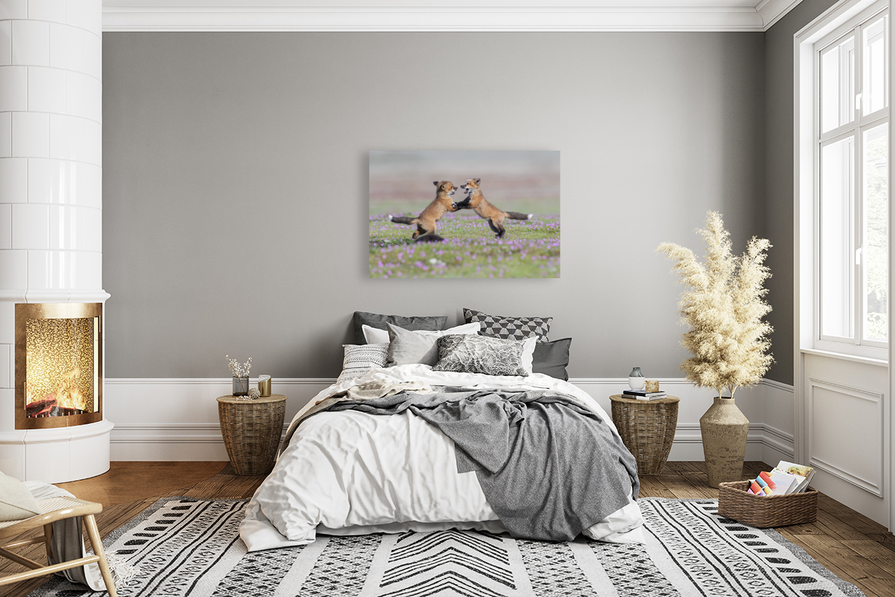 Red Fox Kits Reproduction