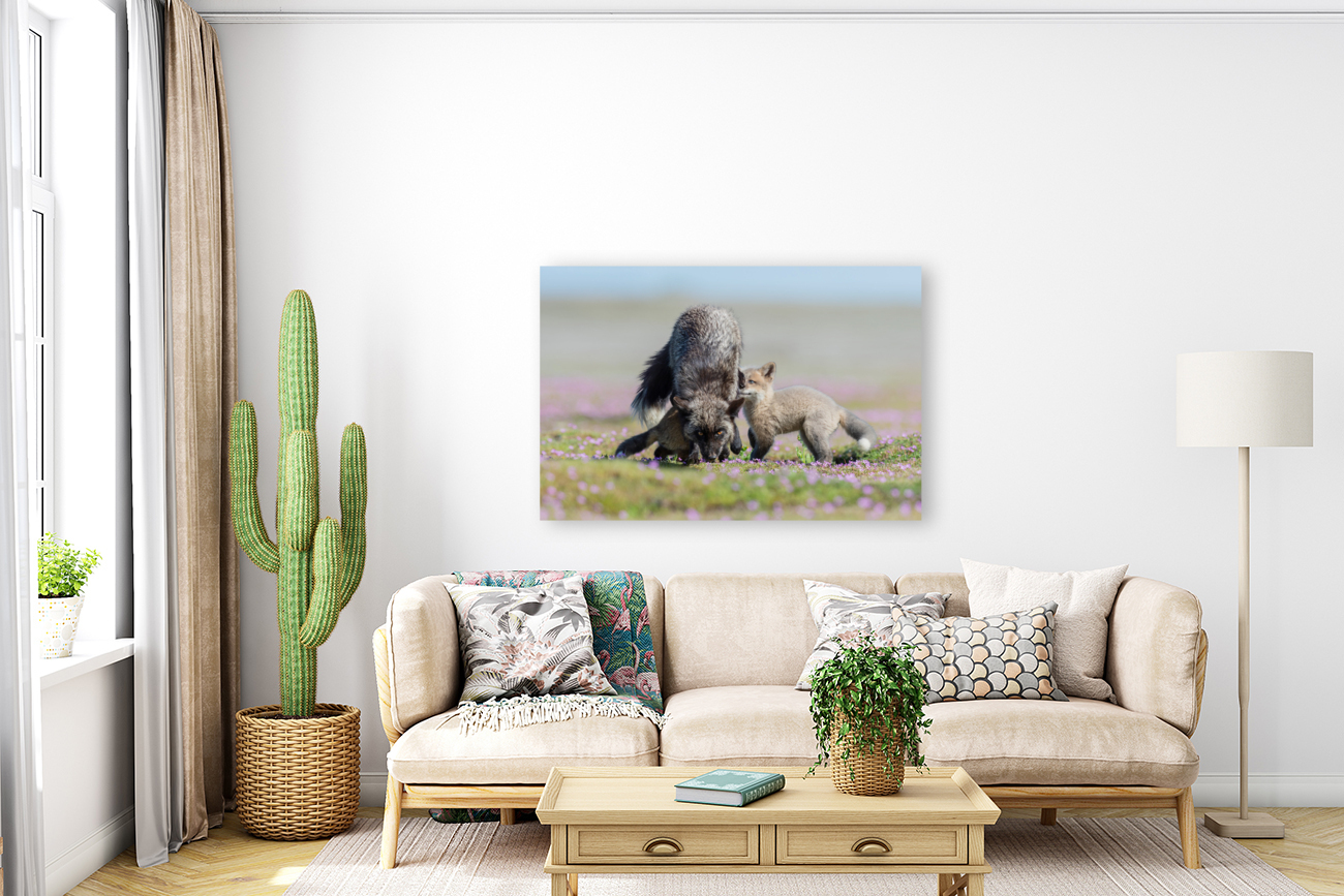 Red Fox with Kits Reproduction