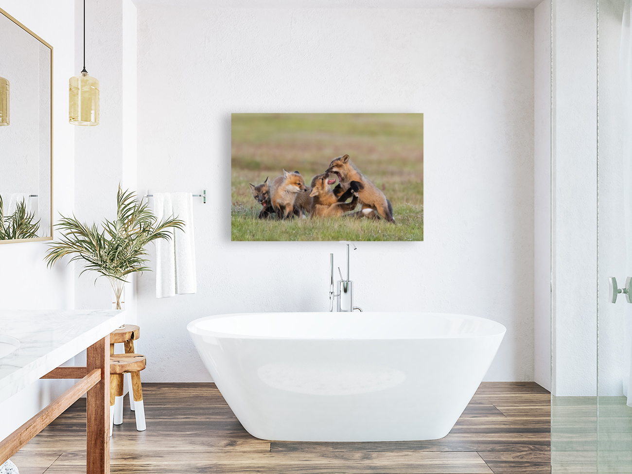 Red Fox Kits Reproduction