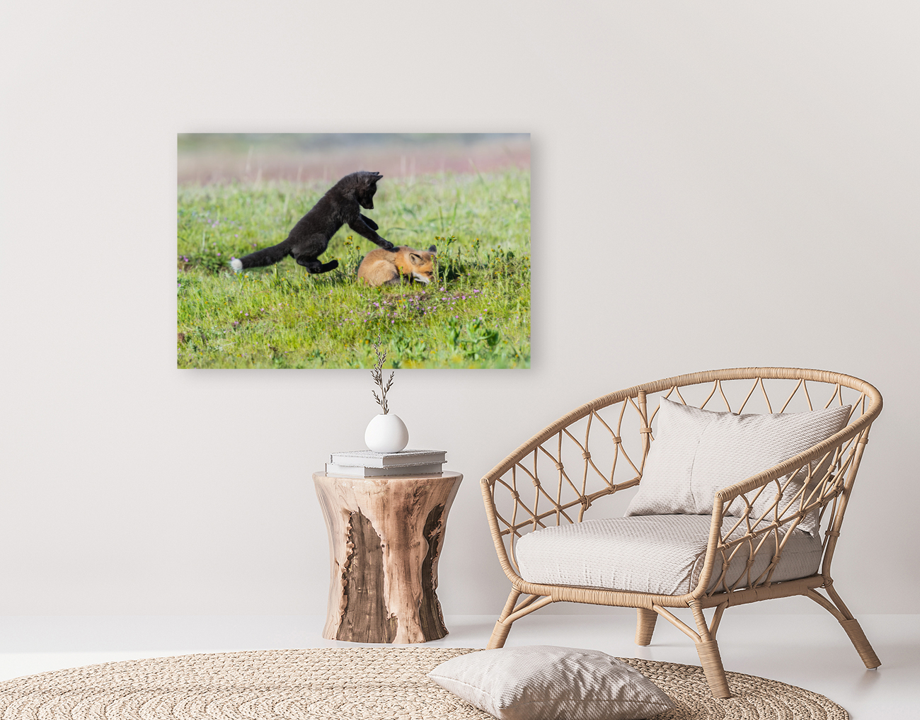 Red Fox Kits Reproduction