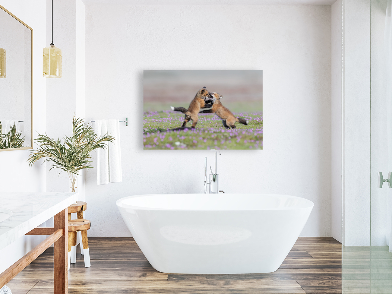 Red Fox Kits Reproduction