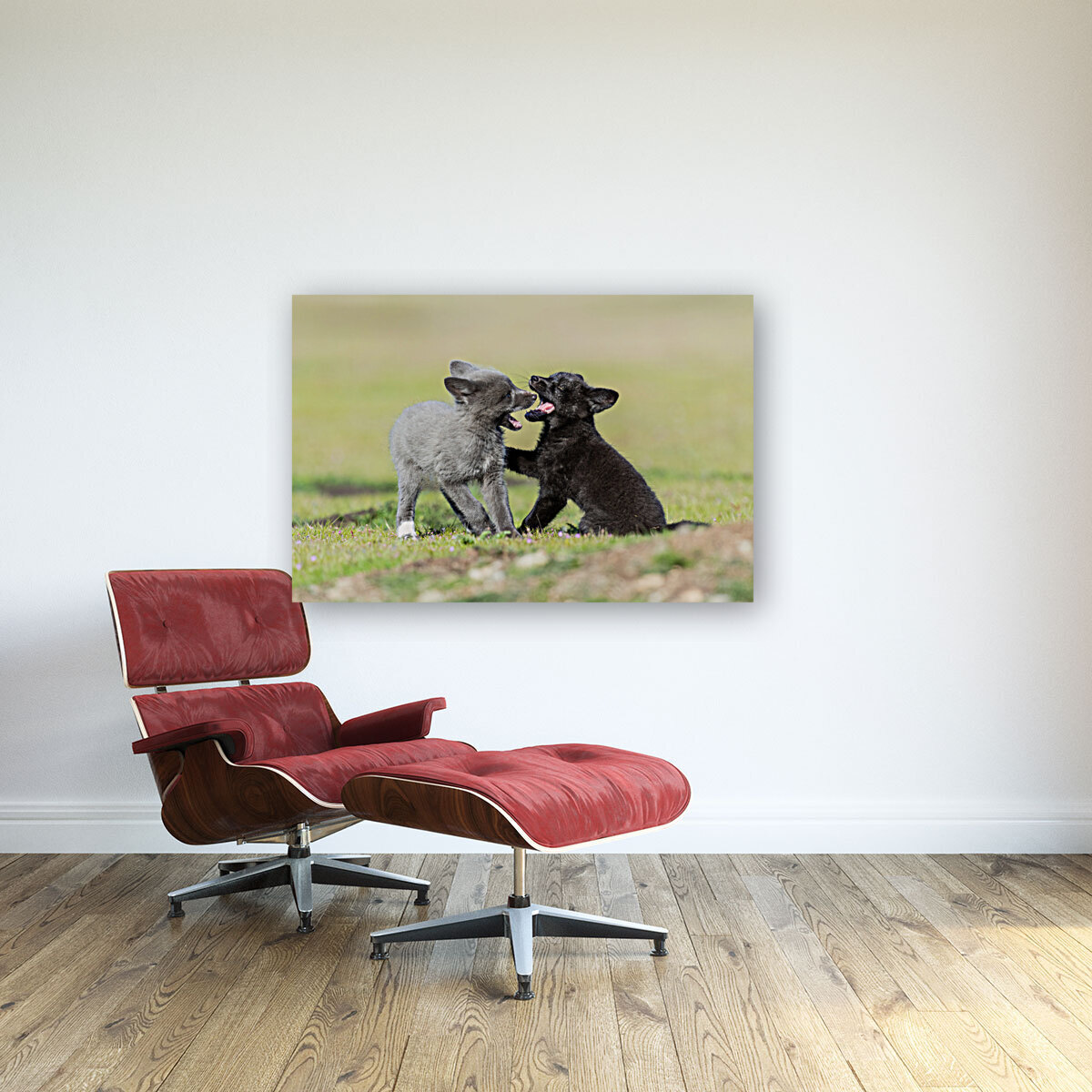 Red Fox Kits Reproduction