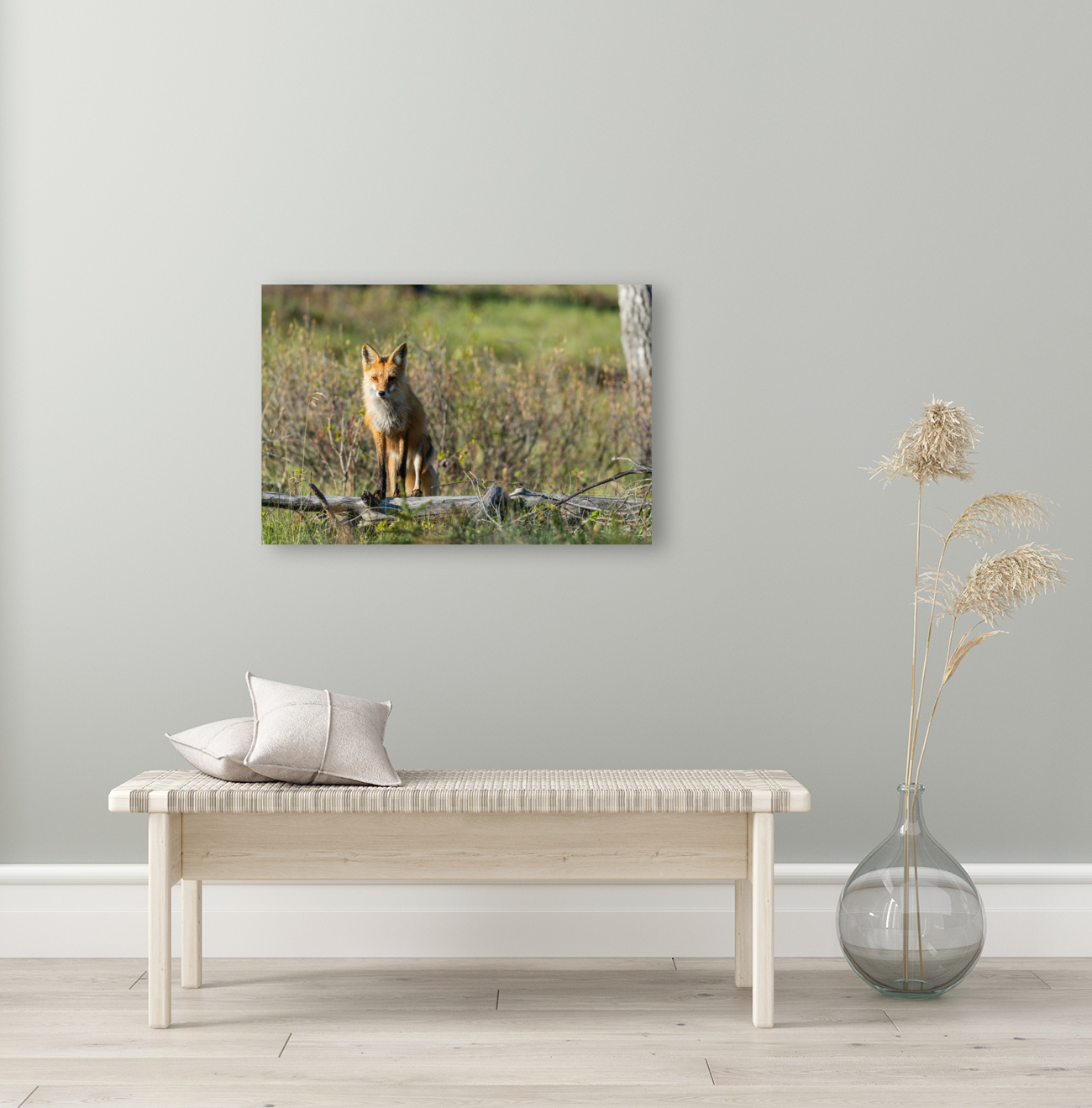 Red Fox Reproduction