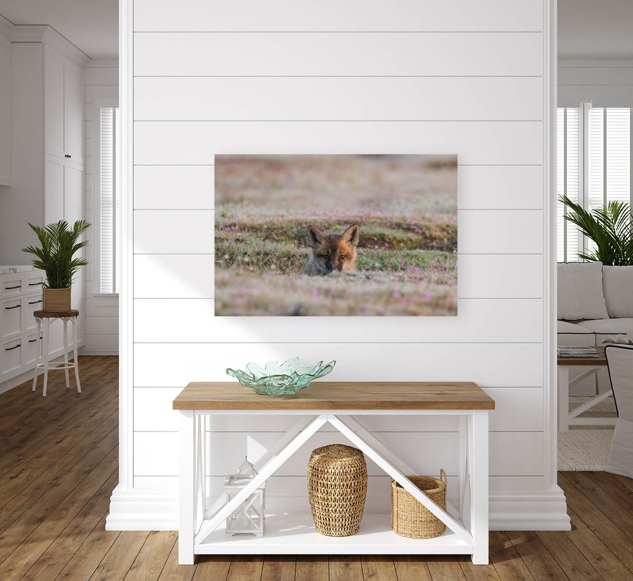 Red Fox Kit Reproduction