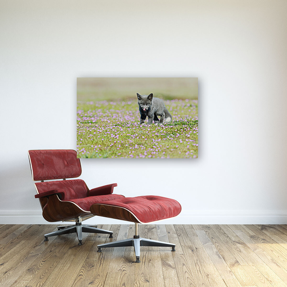 Red Fox Kit Reproduction