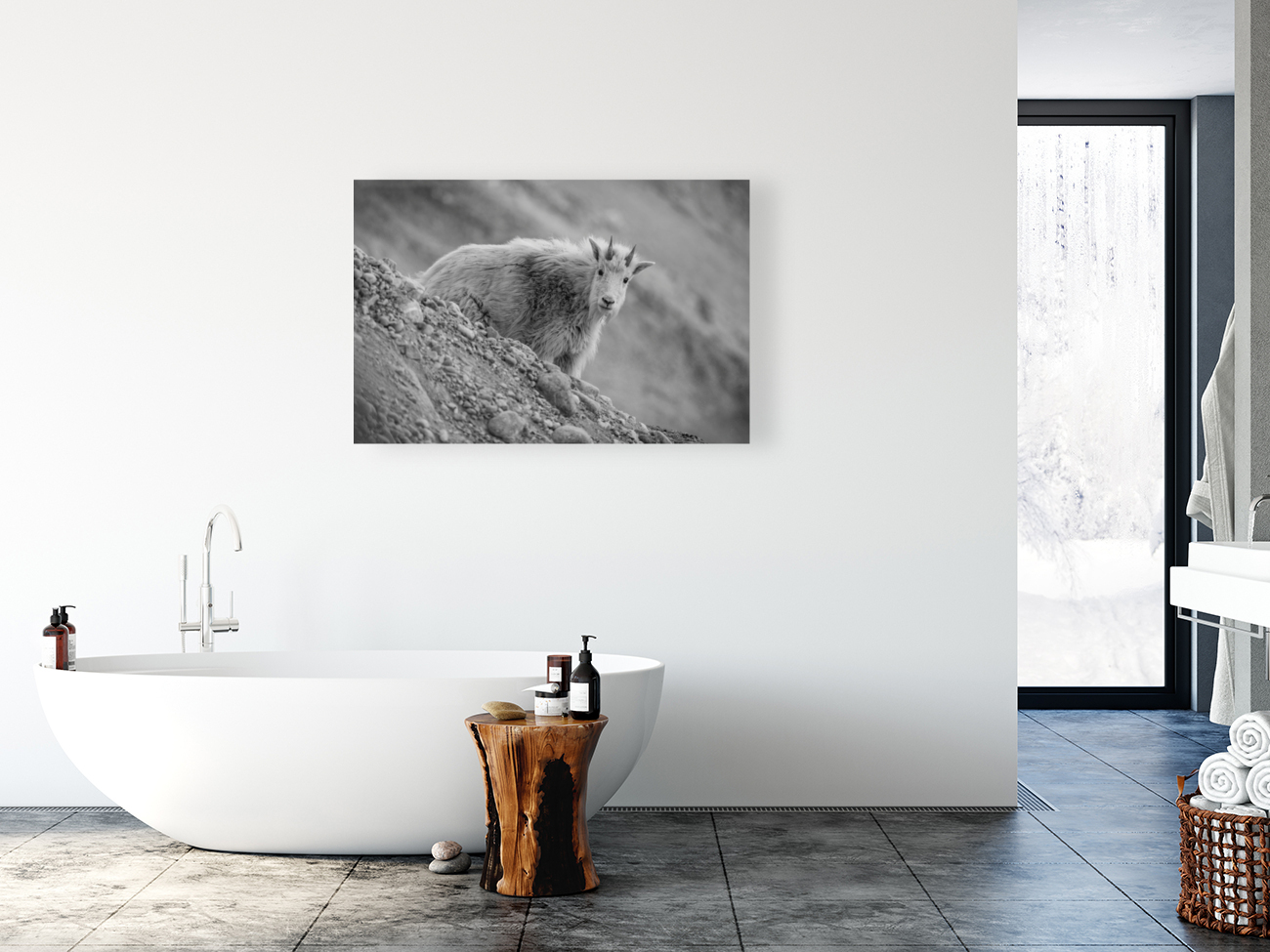 Mountain Goat Kid Reproduction