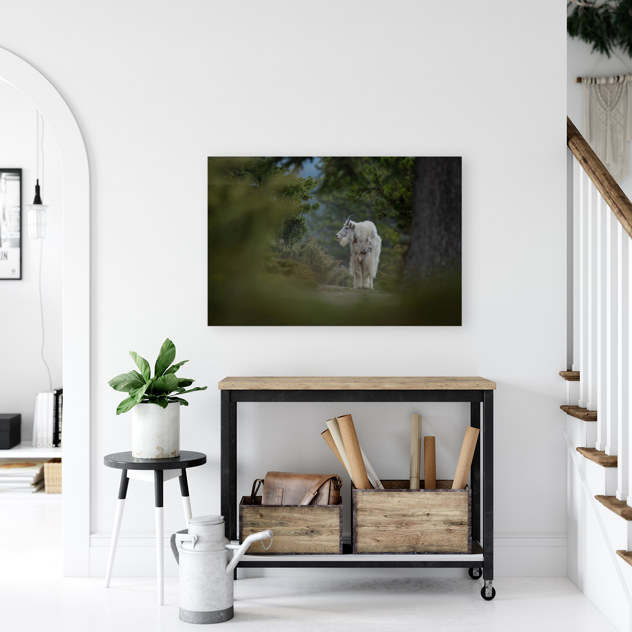 Mountain Goat Reproduction