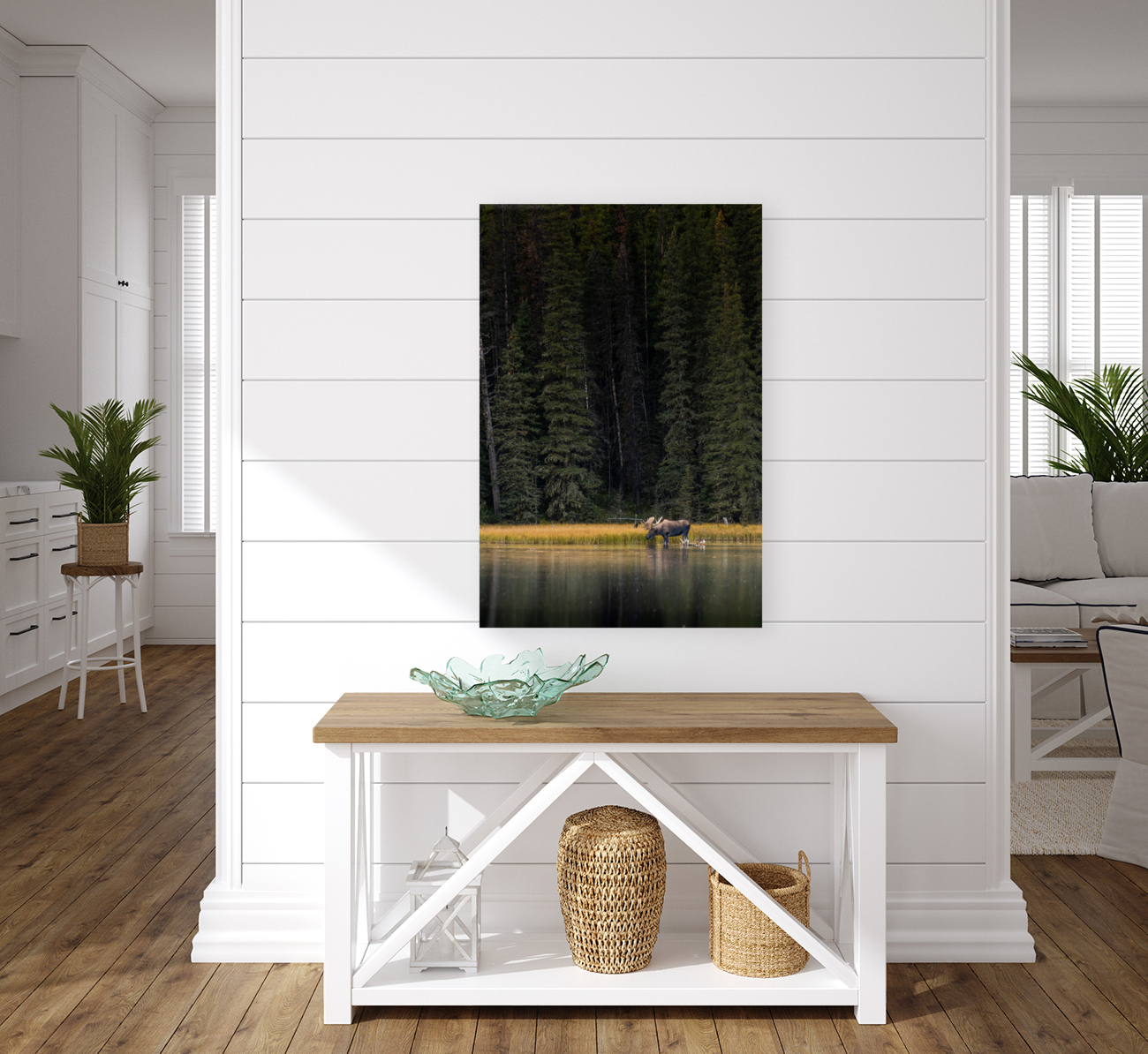 Bull Moose Reproduction